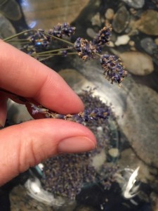 lavender-uses